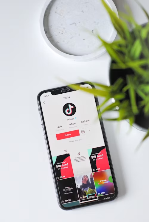 TikTok is changing the rules of brand communication – Ines Imdahl in an interview with new business